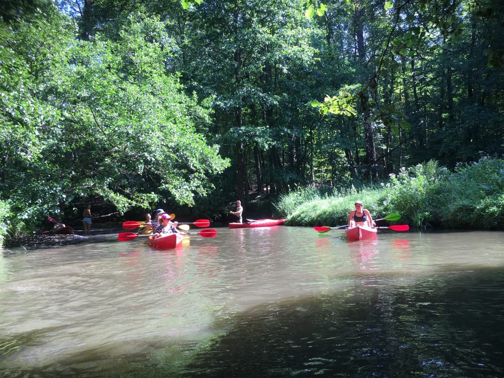 ośrodek wypoczynkowy jezioro, ośrodek wypoczynkowy studzienice, domki na wynajem studzienice, domki nad jeziorem, domki wieloosobowe, rezerwacja domków jezioro